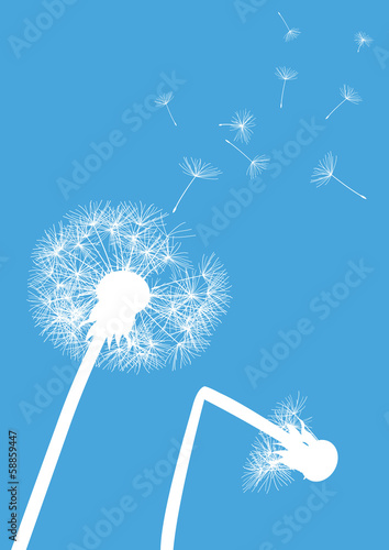 white dandelions on blue background- one with broken stalk