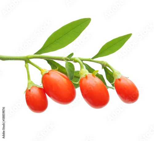 Принти на полотні Goji berry isolated on white background.