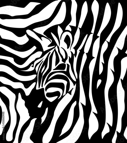 Zebra logotype