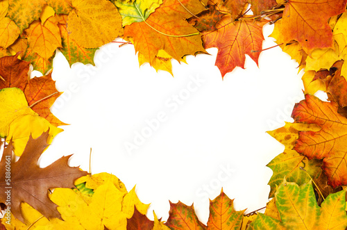 Autumn leaves frame