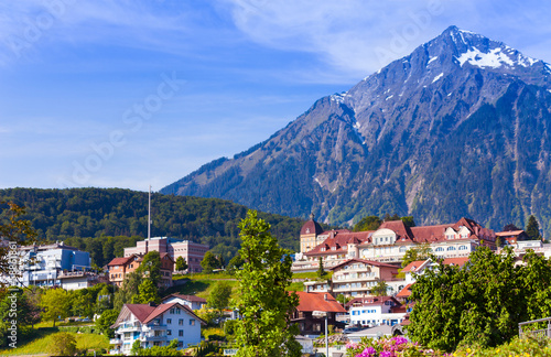 Alps and Spiez village view