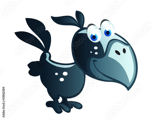 baby crow