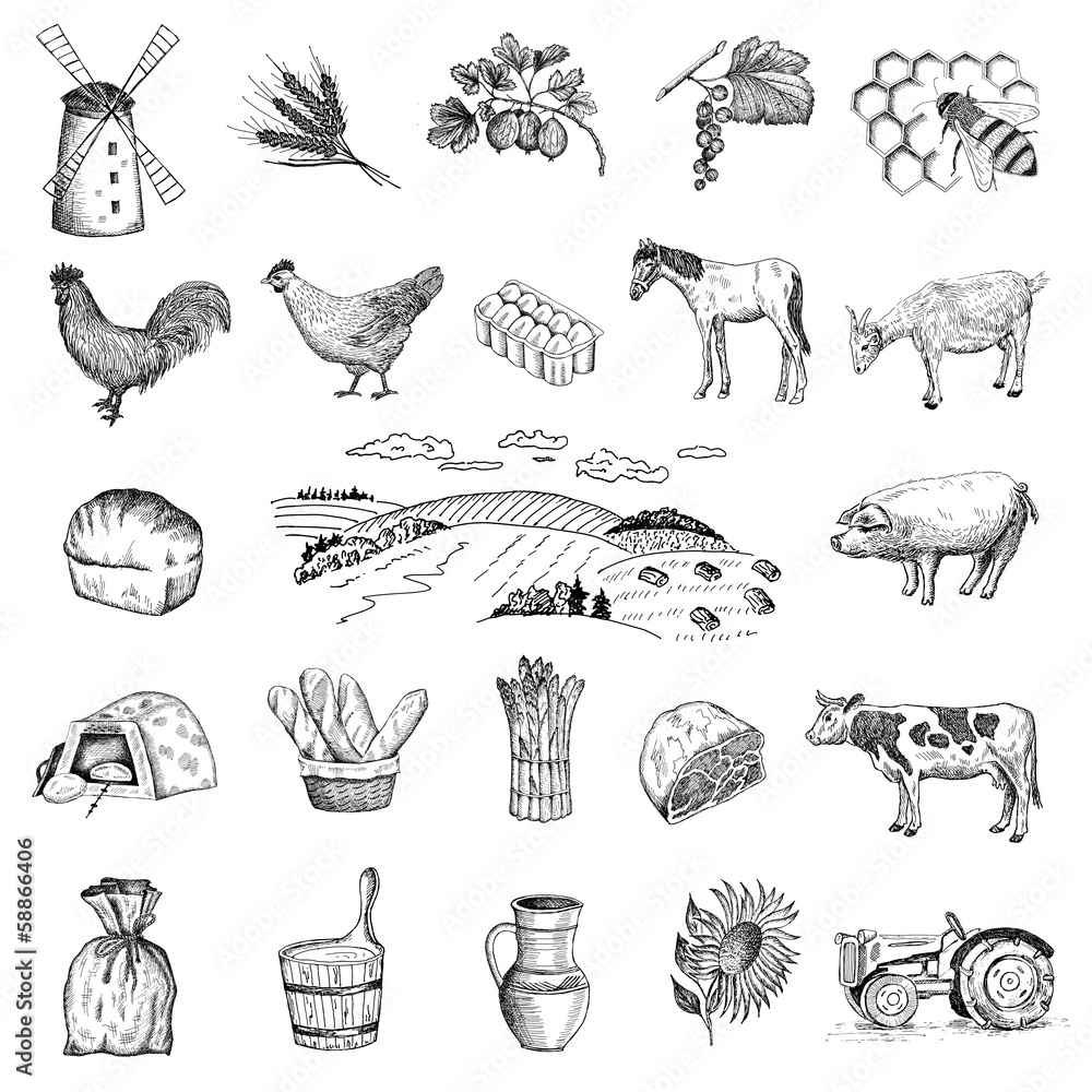 Obraz premium rural economy