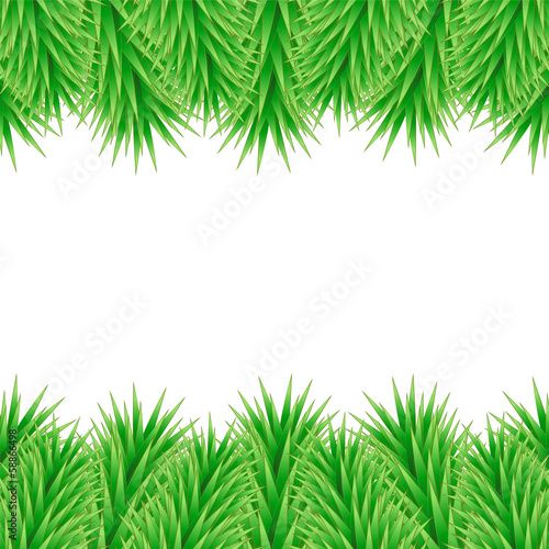 Christmas card made of fir branches