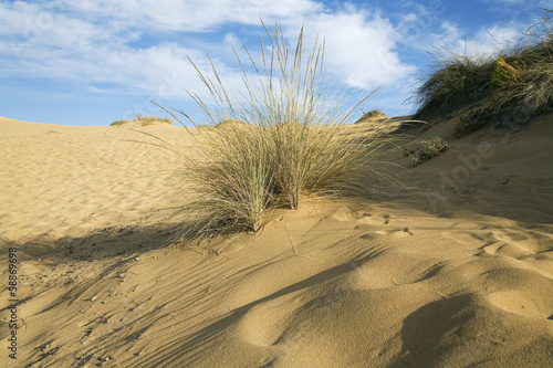 Dune in Sardegna. Località Piscinas