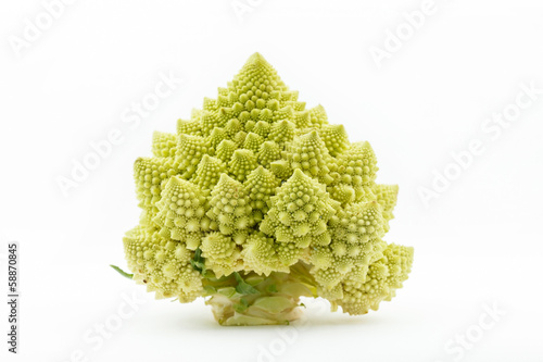 Romanesco broccoli (Brassica oleracea)