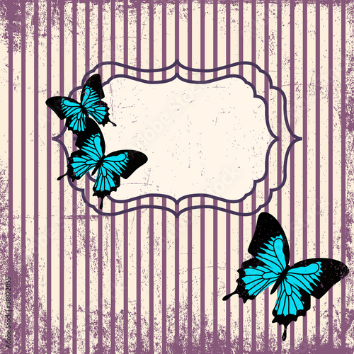 butterfly greeting card photo