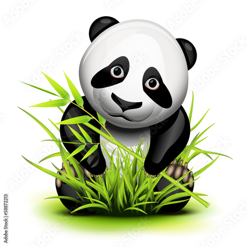 Fototapeta Naklejka Na Ścianę i Meble -  Little panda