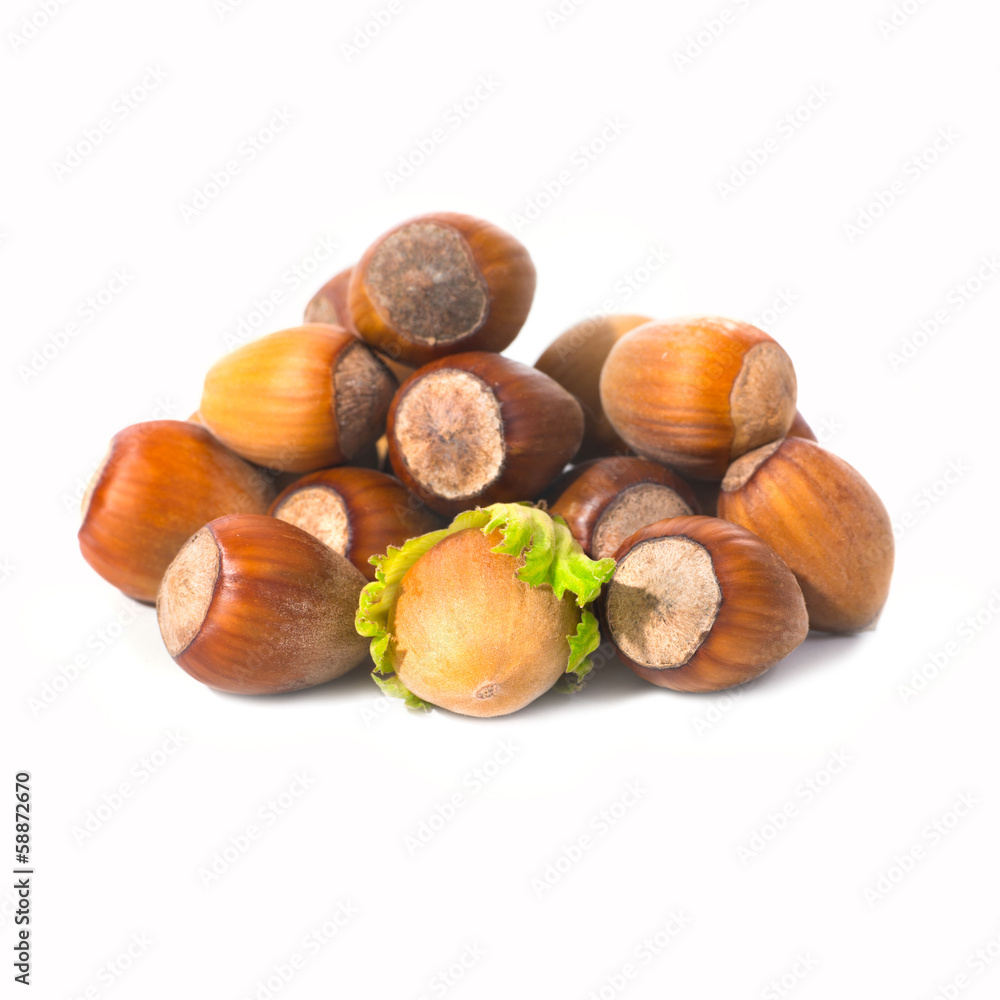 Pile of filbert nuts