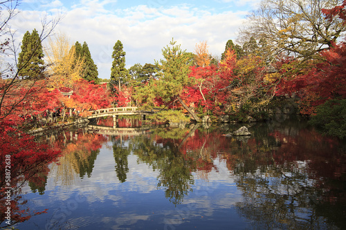 Autumn Japanese garden