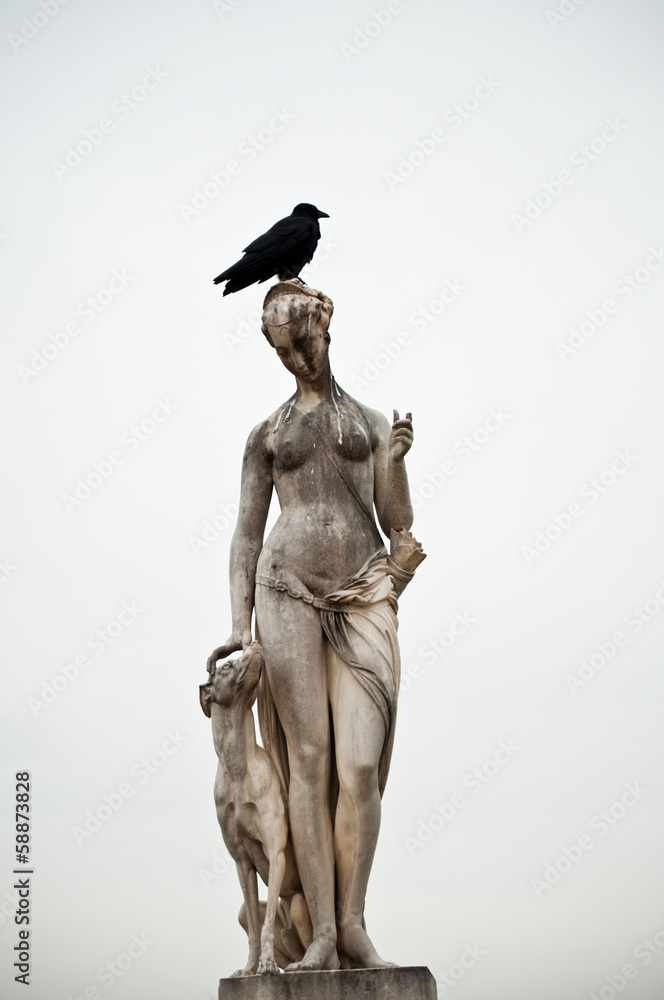 Fototapeta premium statue jardin des tuileries à Paris