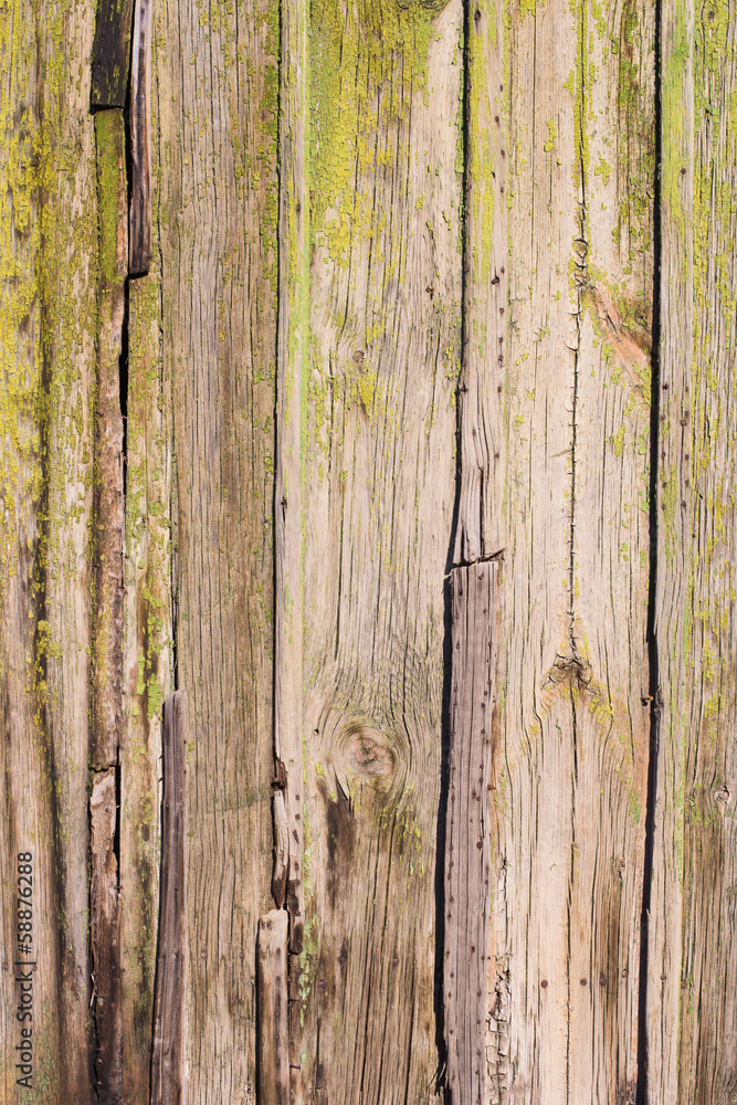 Naklejka premium Old wood background