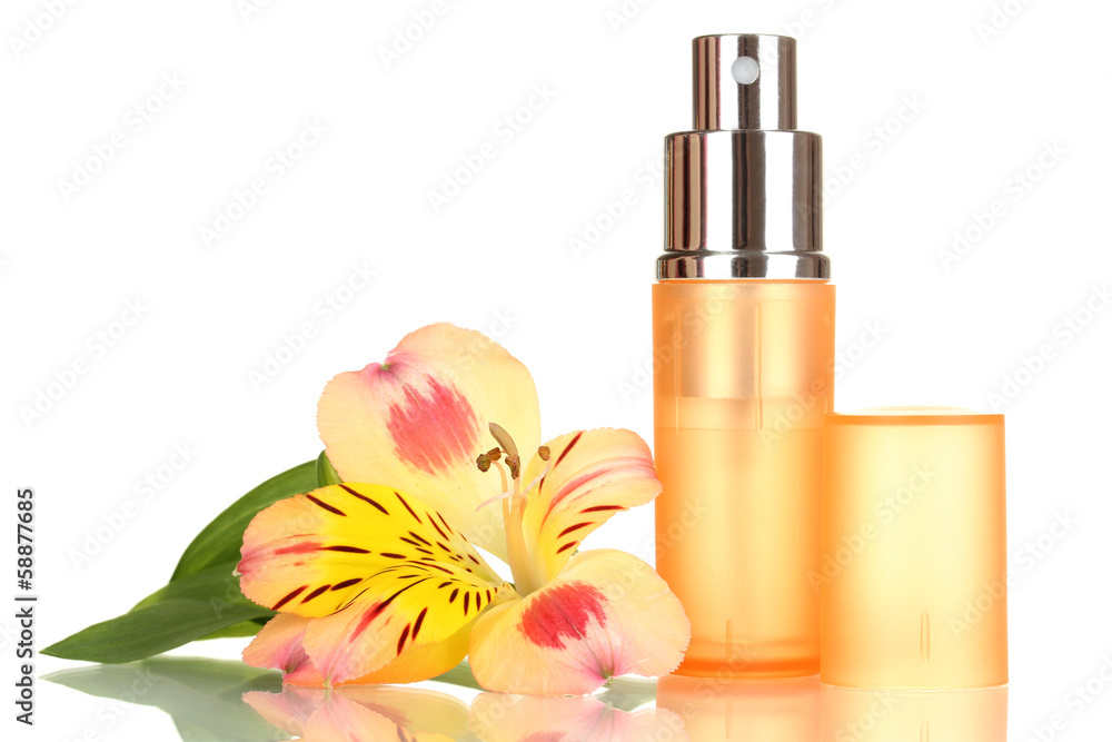 Women's perfume in beautiful bottle with flower isolated Women's perfume in beautiful bottle with flower isolated
