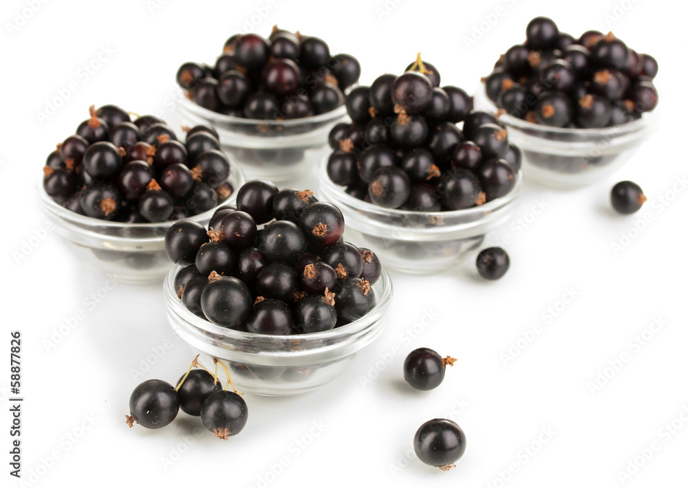 Fresh black currant isolated on white Fresh black currant isolated on white