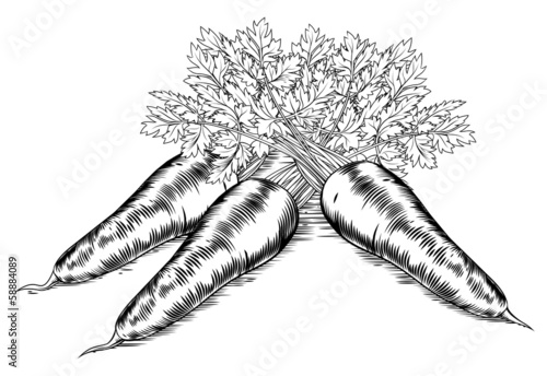 Vintage retro woodcut carrots