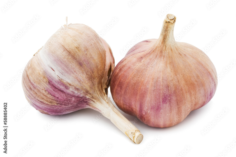 Obraz premium Garlic