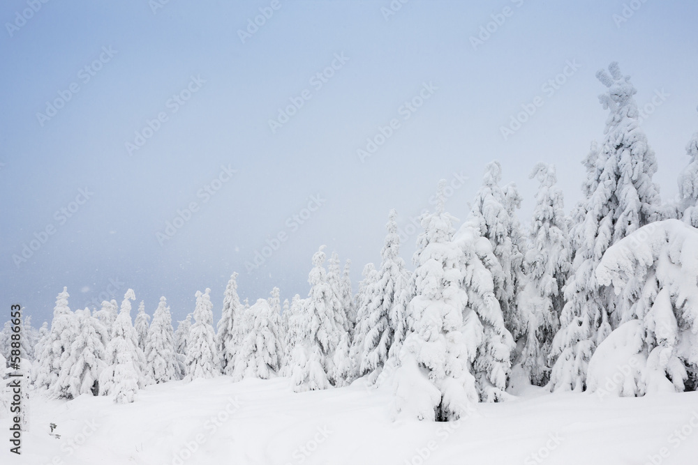 winter landscape, Orlicke Mountains, Czech Republic winter landscape, Orlicke Mountains, Czech Republic