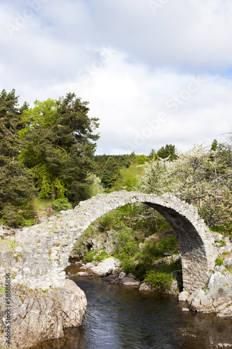 Old Packhorse bridge, Carrbridge, Highlands, Scotland