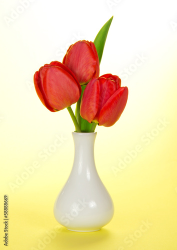 Beautiful red tulips in a vase
