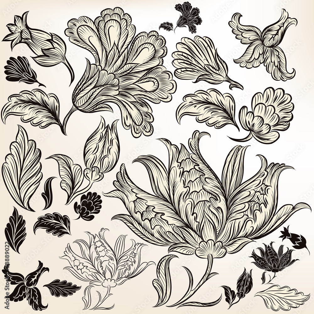 Collection of floral hand drawn swirls for design Collection of floral hand drawn swirls for design