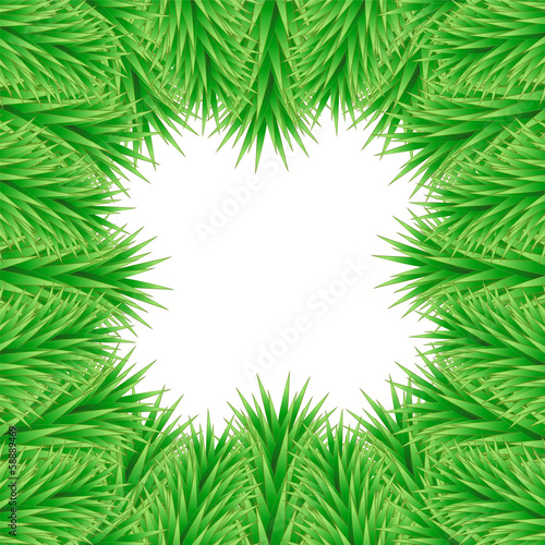 Christmas card made of fir branches