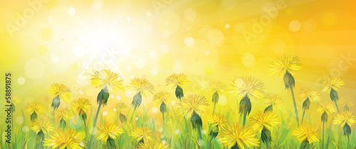 Vector of spring background with yellow dandelions.