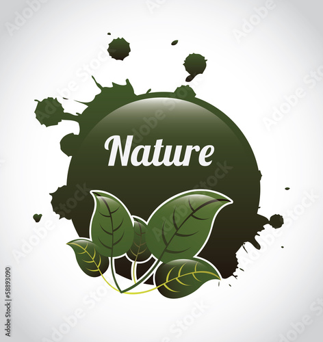 eco design