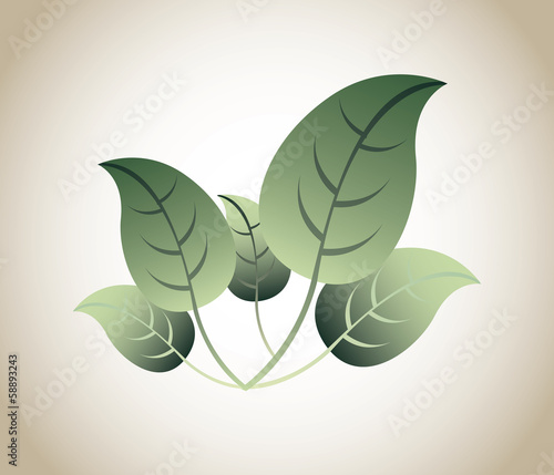eco design