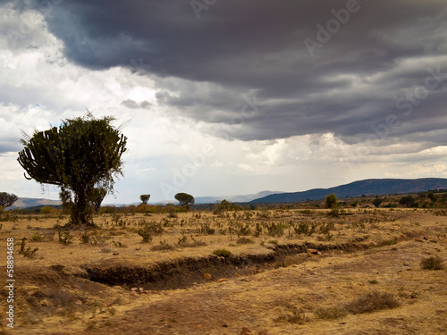 African savanna front of rain