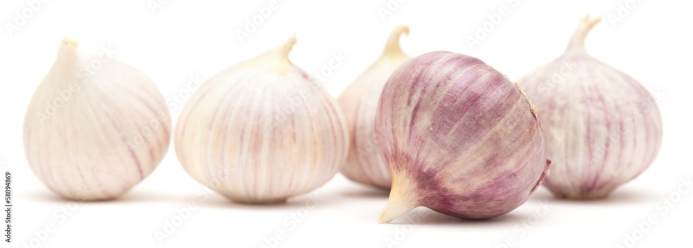 Single clove garlic Single clove garlic