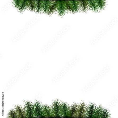 Christmas background with spruce twigs for your text