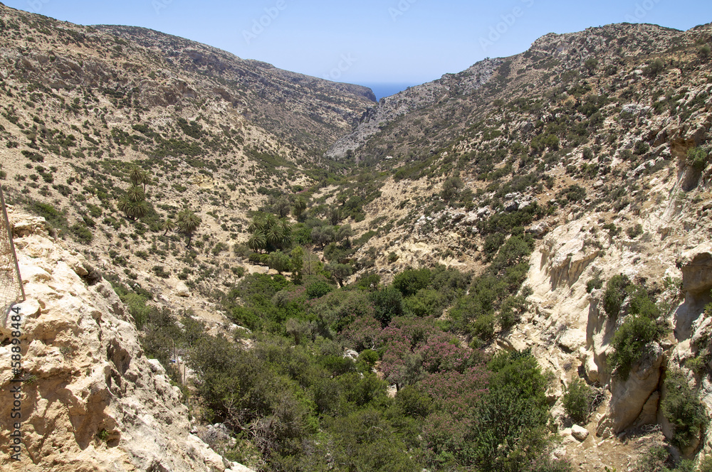 Oase mit Palmen in der Martsalo Schlucht auf Kreta