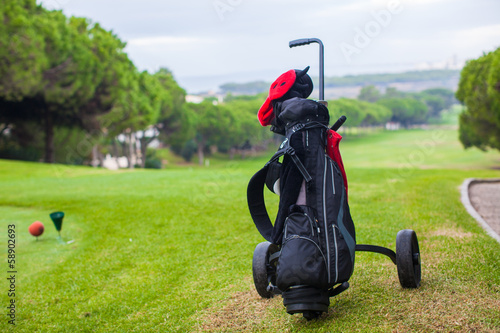 Close up of a golf bag and ball on a green perfect field