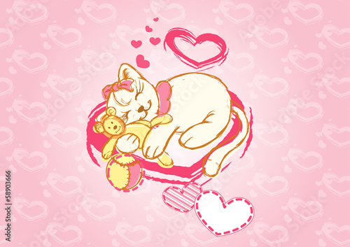 pretty cat