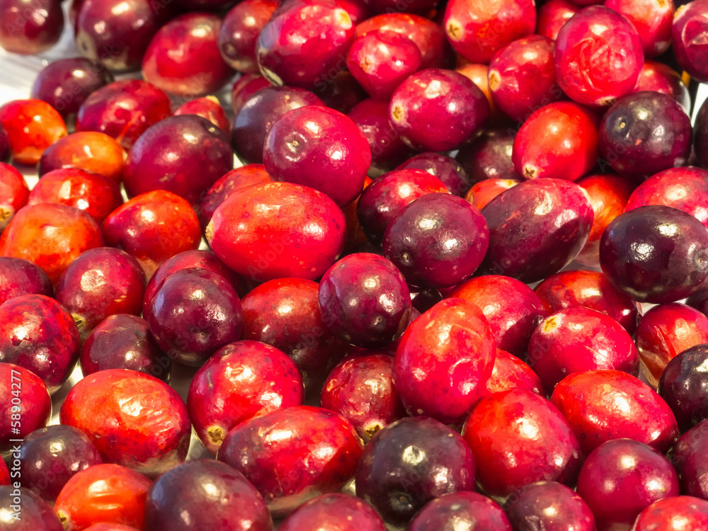 Cranberry Cranberry
