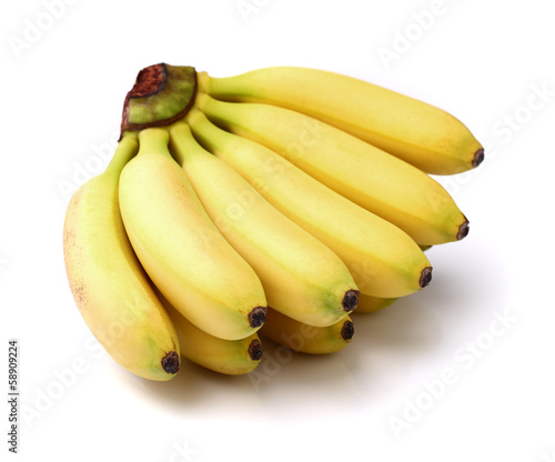 Bunch of baby bananas