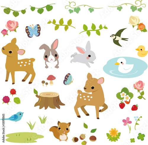 森の小動物と草花
