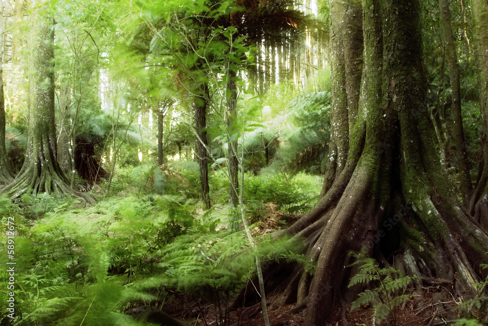 Naklejka premium Trees in lush green tropical jungle forest 