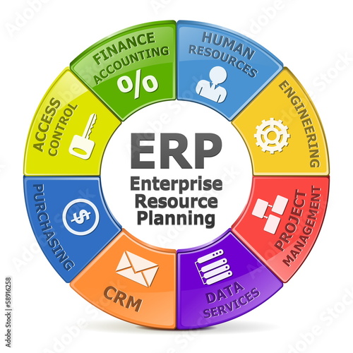 Vector ERP system