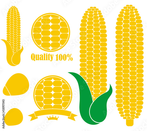 Corn