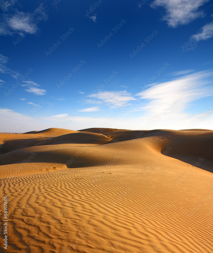 landsape in desert