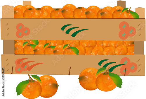 cassetta di frutta