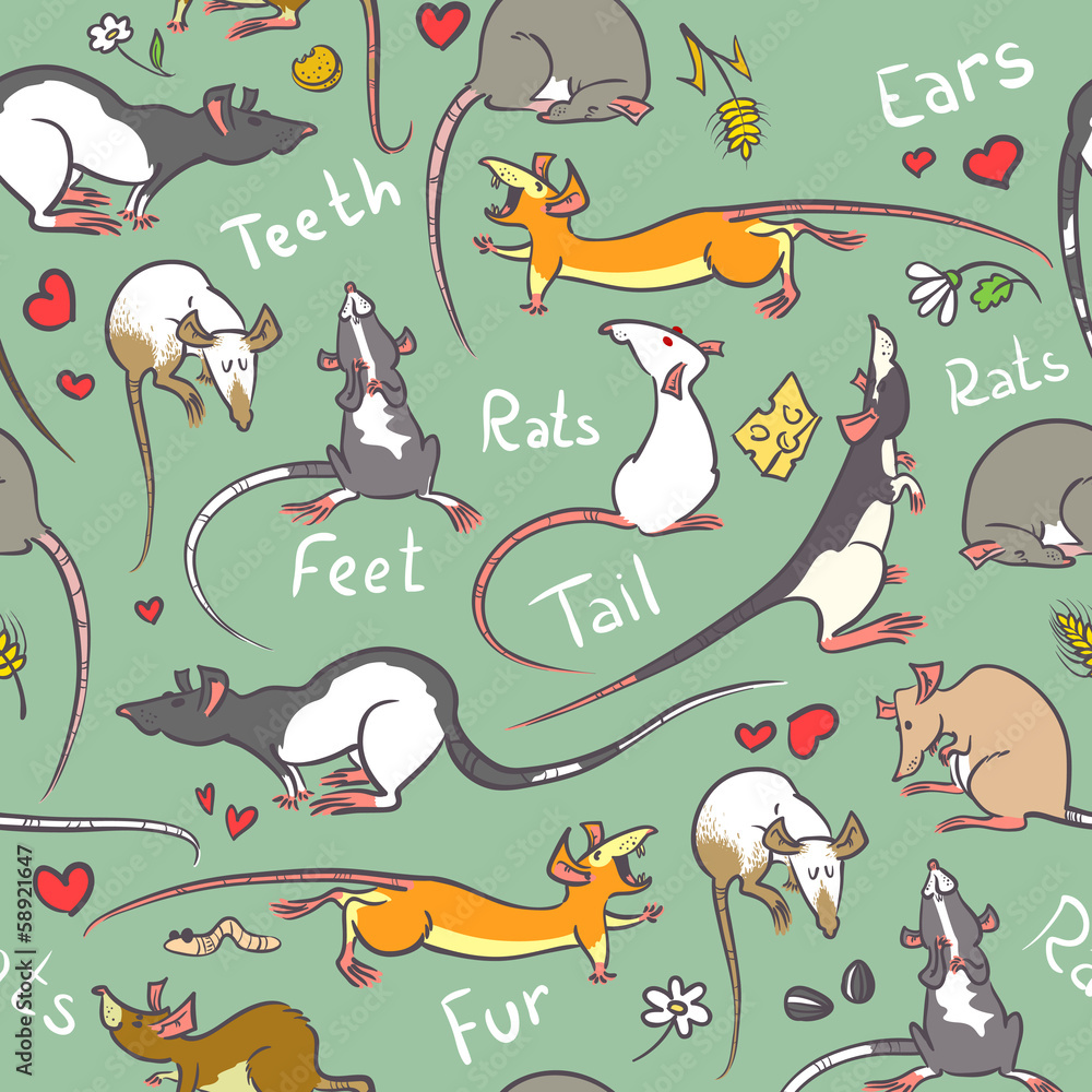 Fototapeta premium Background with rats