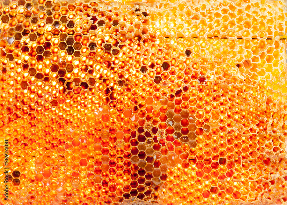 honey honey