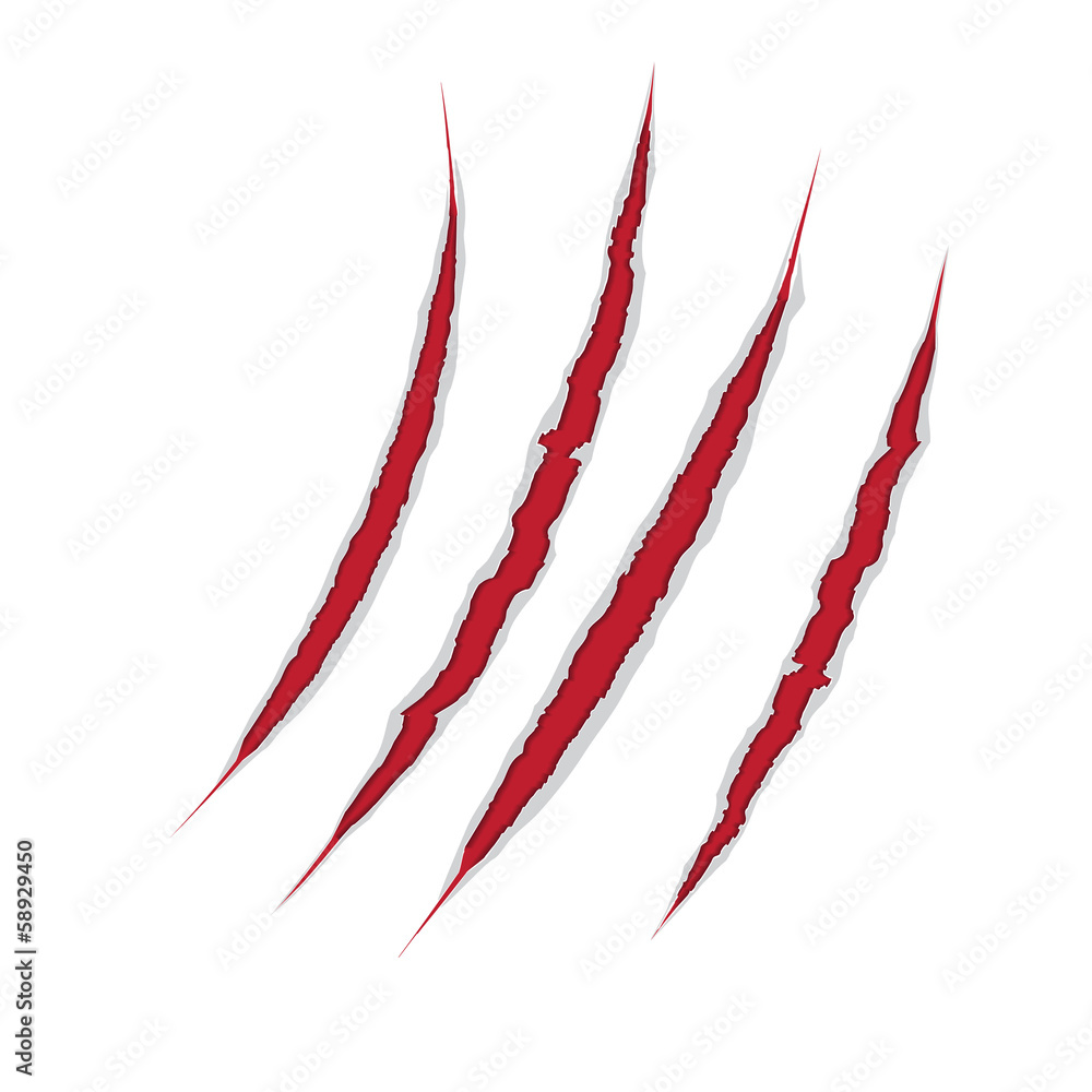 Fototapeta premium Claws scratch