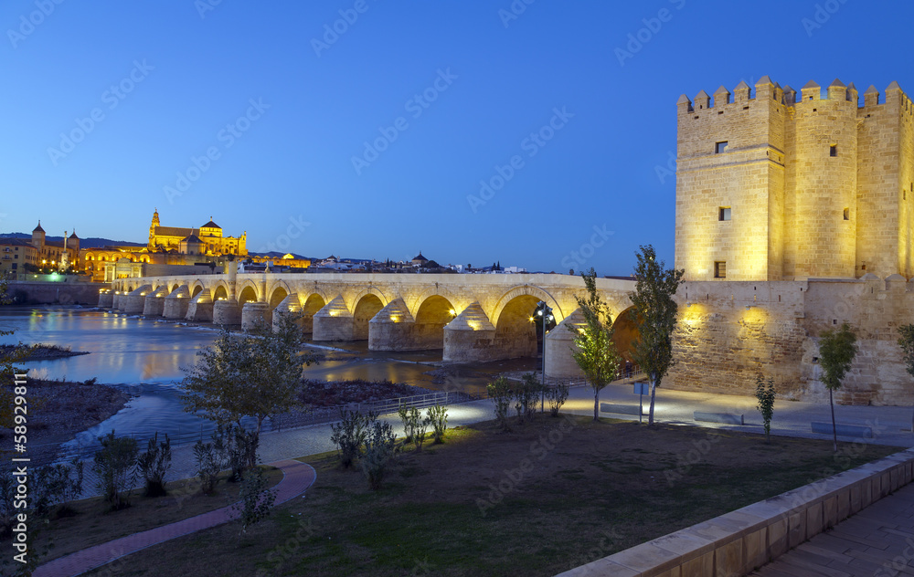 old roman bridge and tower Calahora at night, Cordoba