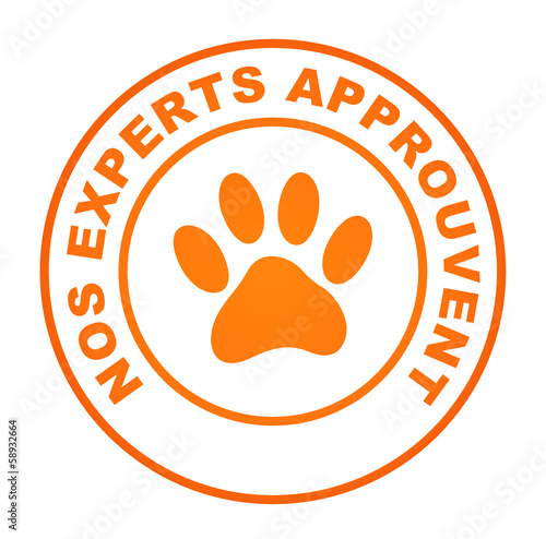 nos experts approuvent sur bouton web rond orange