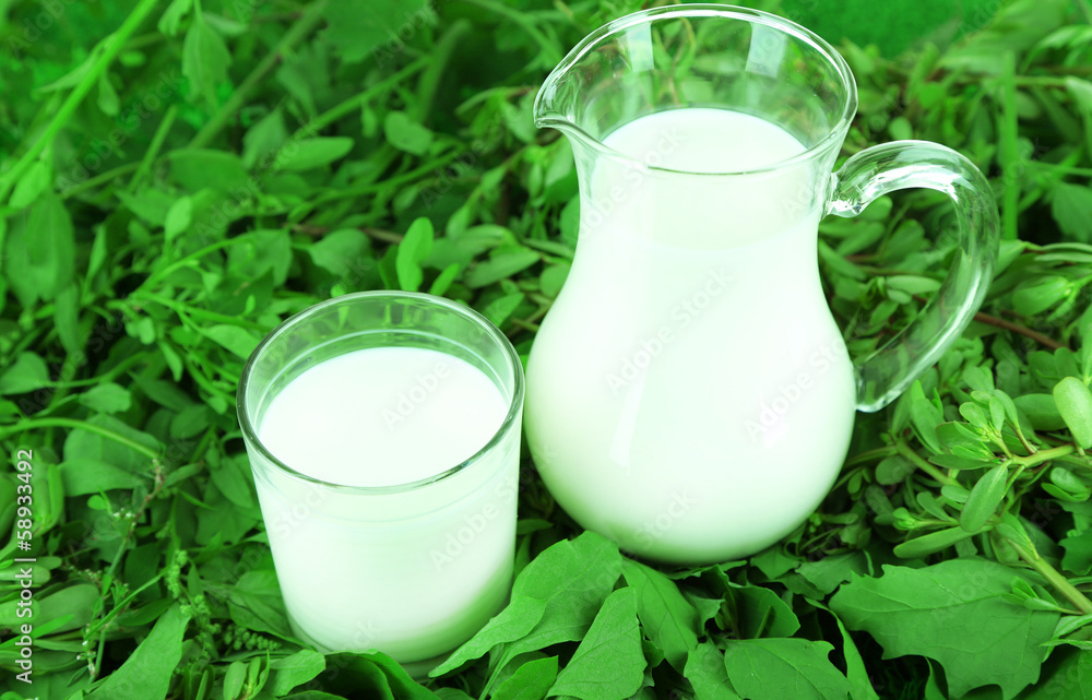 Pitcher and glass of milk on grass Pitcher and glass of milk on grass