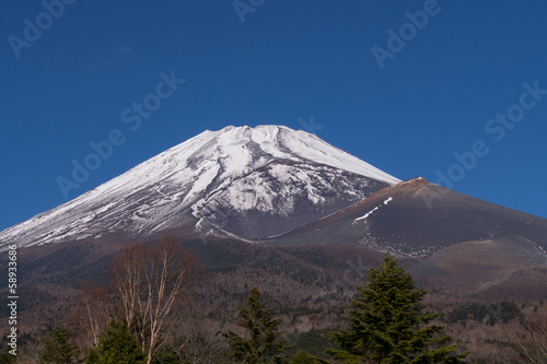 静岡から眺める富士山