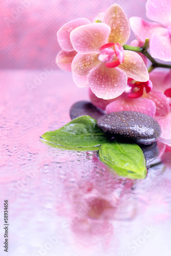 Fototapeta Naklejka Na Ścianę i Meble -  Composition with beautiful blooming orchid with water drops and